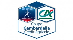 gambardella__nc24o0